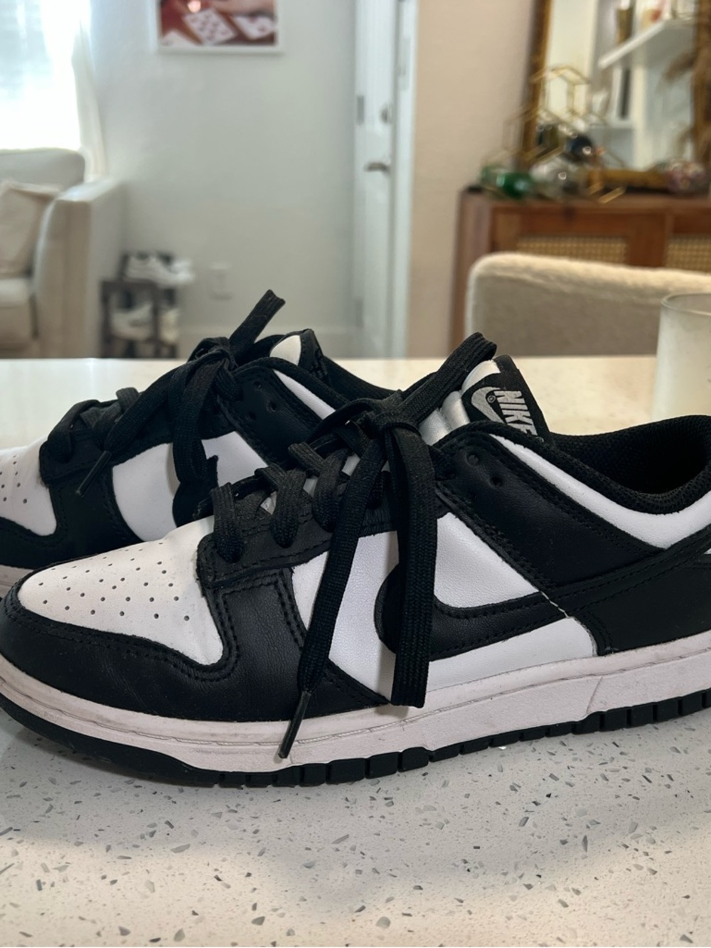 Nike Black & White Low-Top Sneakers